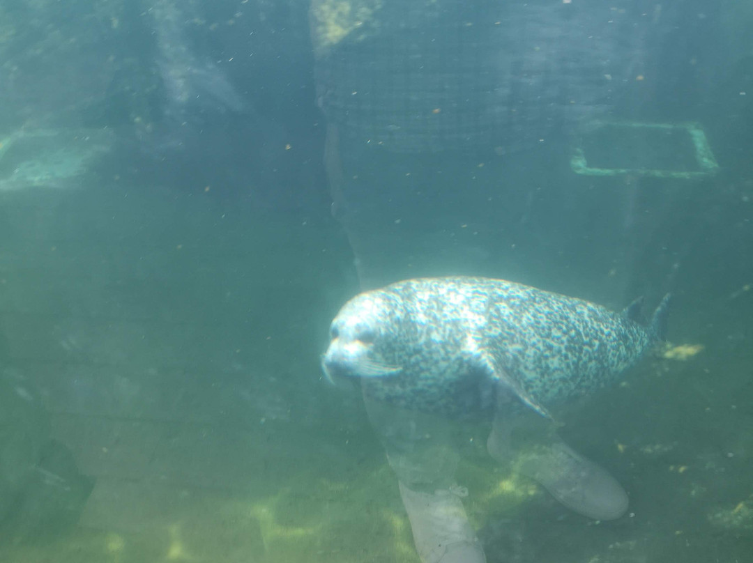 Tynemouth Aquarium-泰恩茅斯必去景点