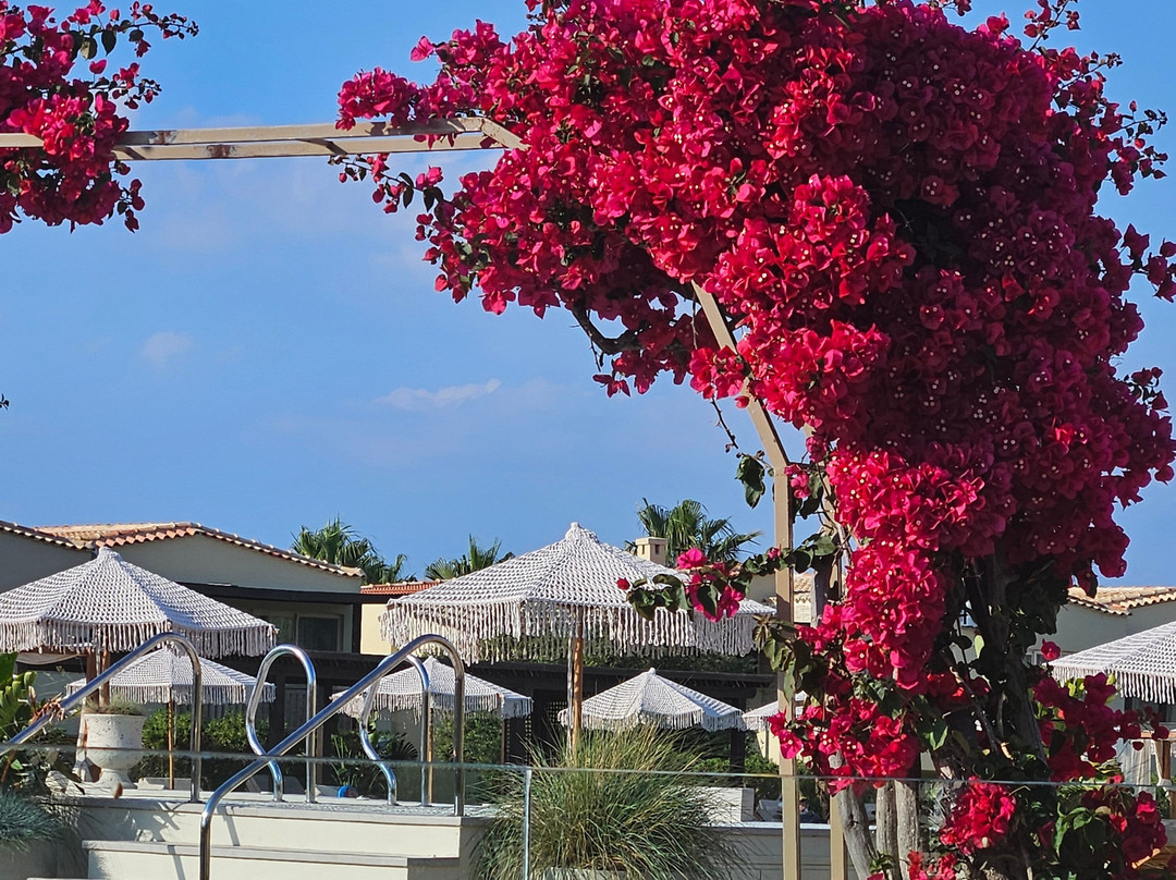 Achilleas Beach Hotel主图