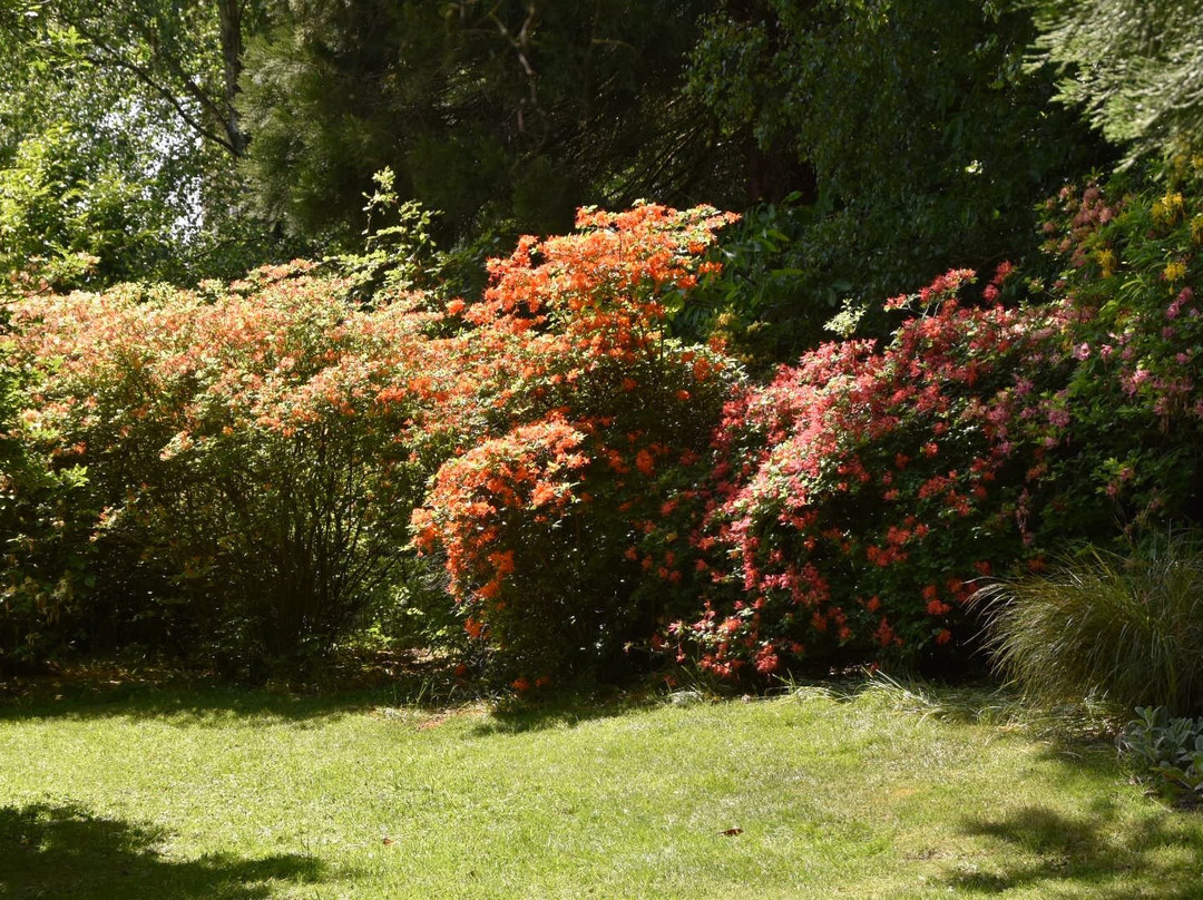 Emmetts Garden-Sevenoaks必去景点