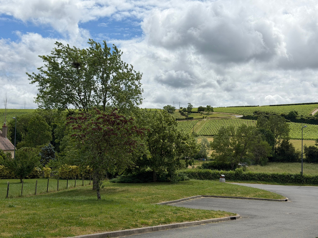 Domaine Philippe Raimbault-Sury-en-Vaux必去景点