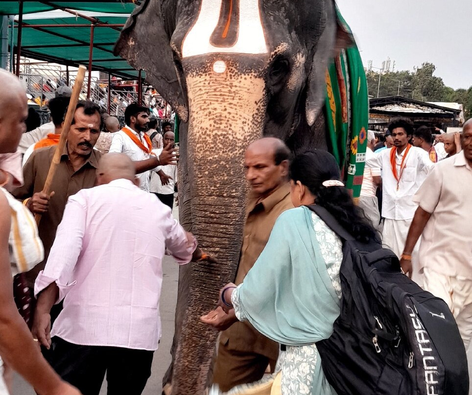 Tirumala Temple-蒂鲁伯蒂必去景点