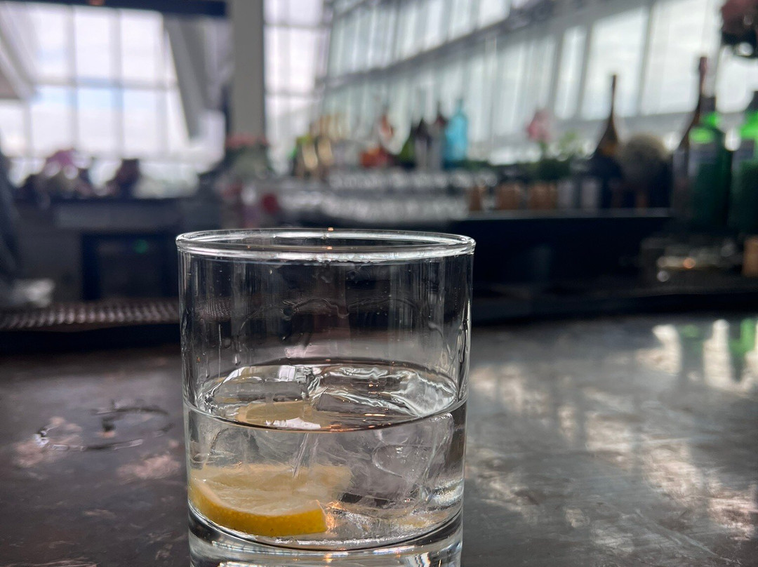 Plaza Premium Lounge Heathrow T5 Departures-伦敦必去景点