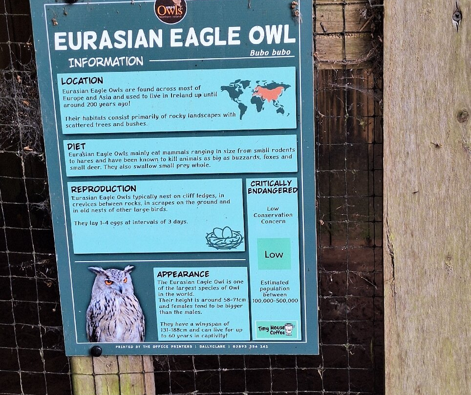 World of Owls-Randalstown必去景点
