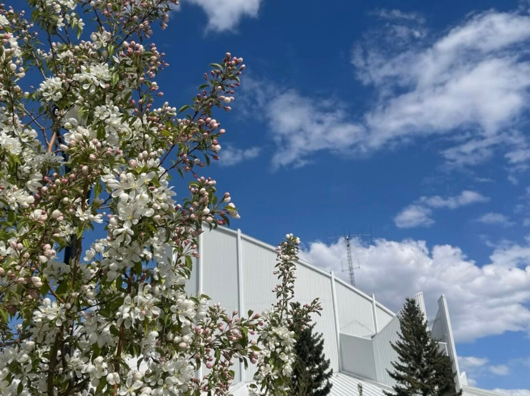 泰勒斯科学世界 -埃德蒙顿必去景点