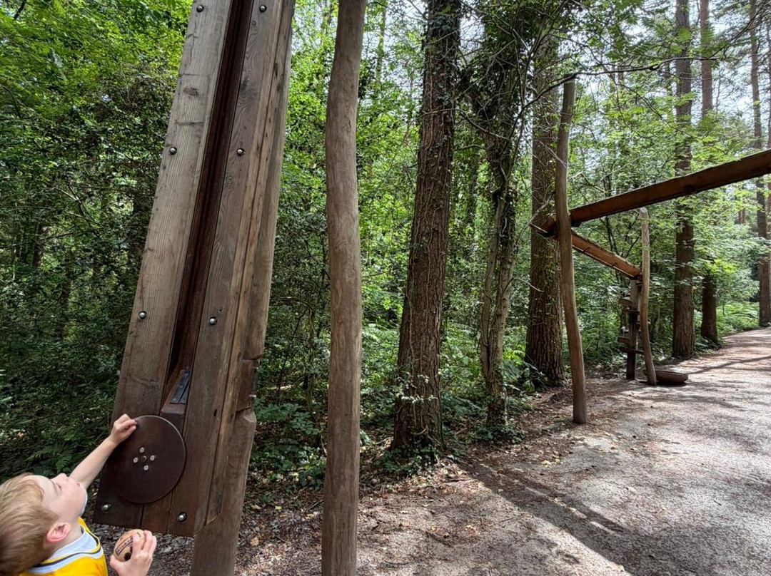 Alice Holt Forest-法纳姆必去景点
