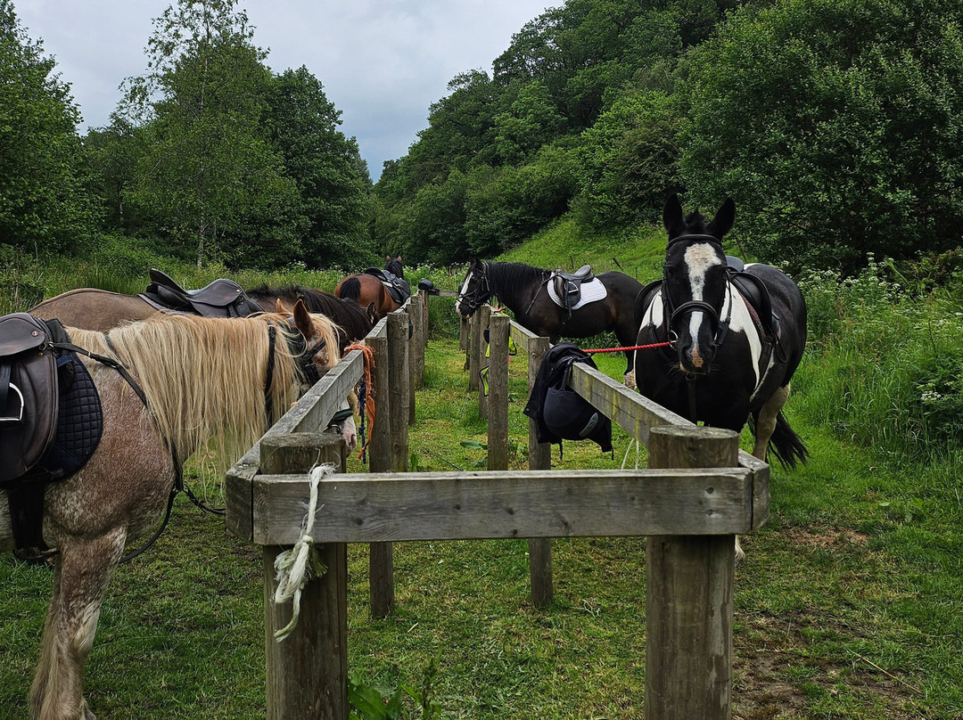 Pine Lodge Riding On Exmoor-Dulverton必去景点