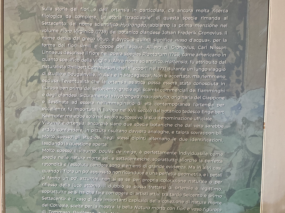 Correale di Terranova Museum-索伦托必去景点