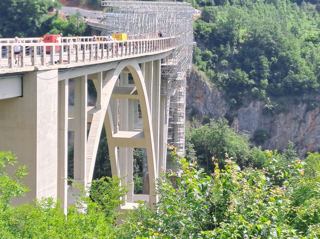 Đurđevića Tara Bridge-Zabljak必去景点