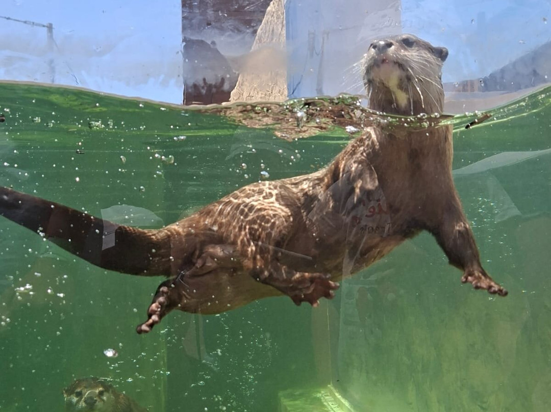 Mediterraneo Marine Park-Bahar ic-Caghaq必去景点