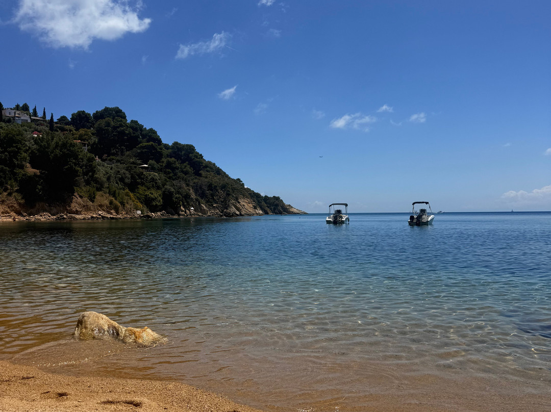Diamandi Beach-斯亚索斯必去景点