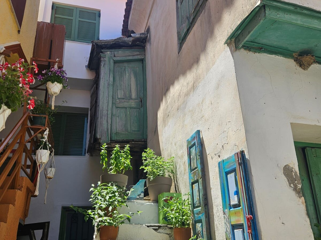 Samos Dream Tours-Kokkari必去景点