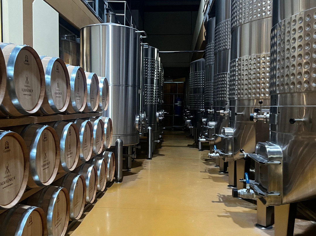 Almaunica Winerie-本图贡萨尔维斯必去景点