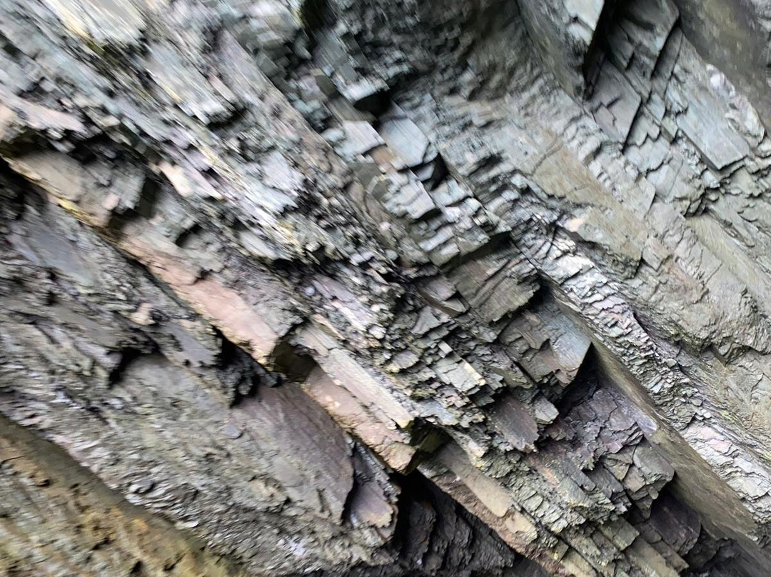 Trinity Eco-Tours-Trinity必去景点