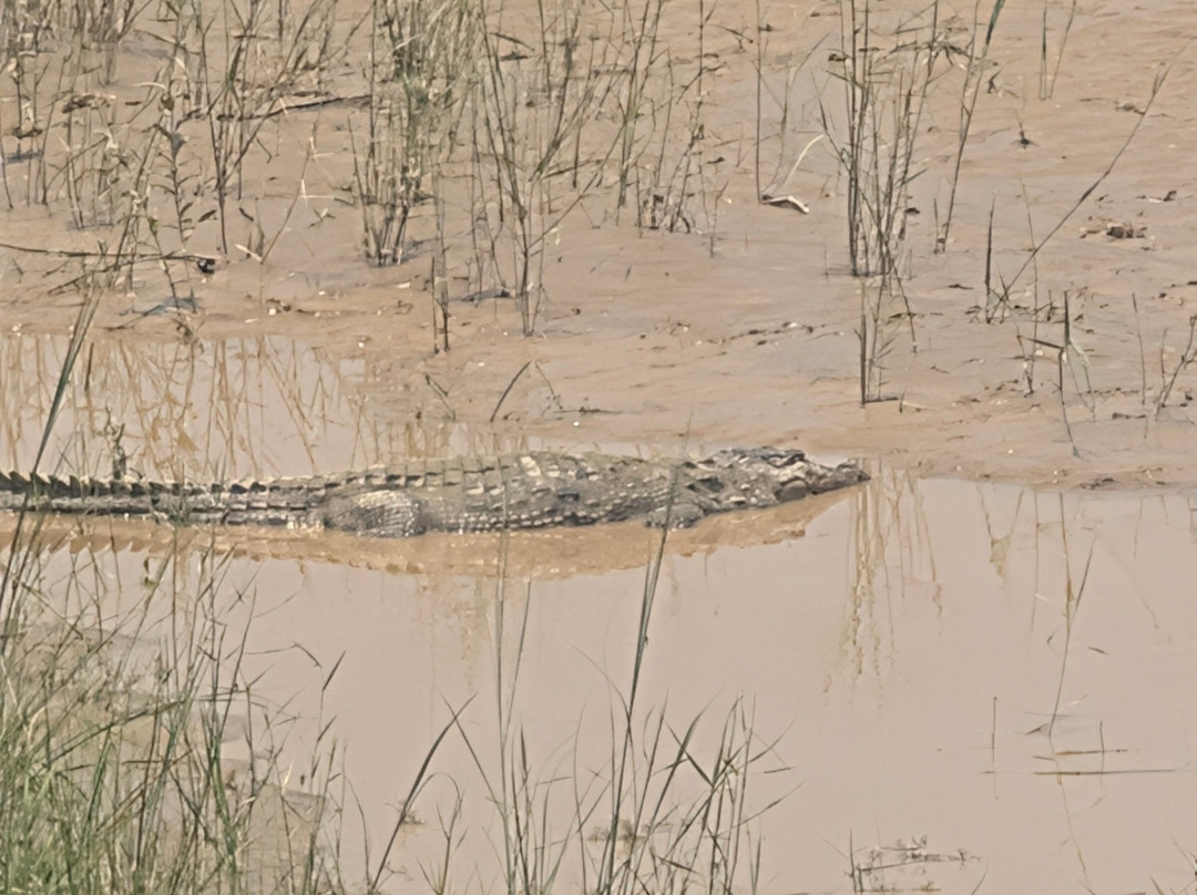 Kishanpur Wildlife Sanctuary-Bhira必去景点