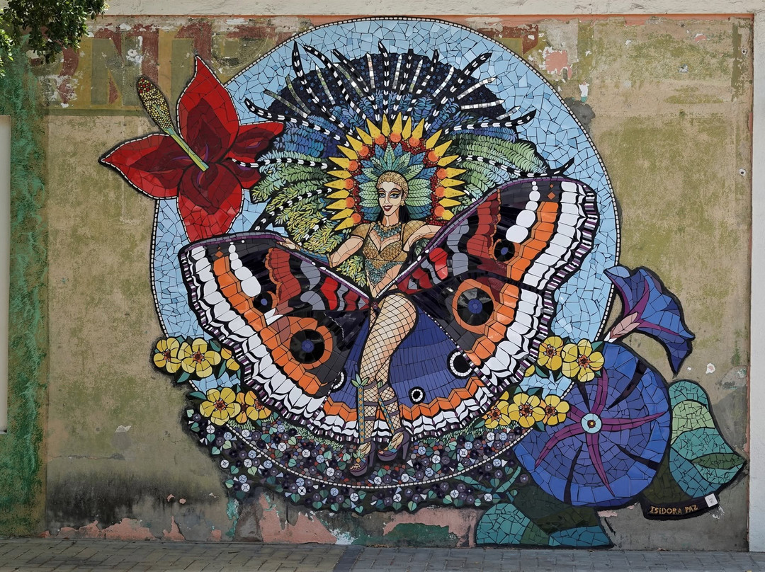 Street Murals By Aruba Art Fair-San Nicolas必去景点