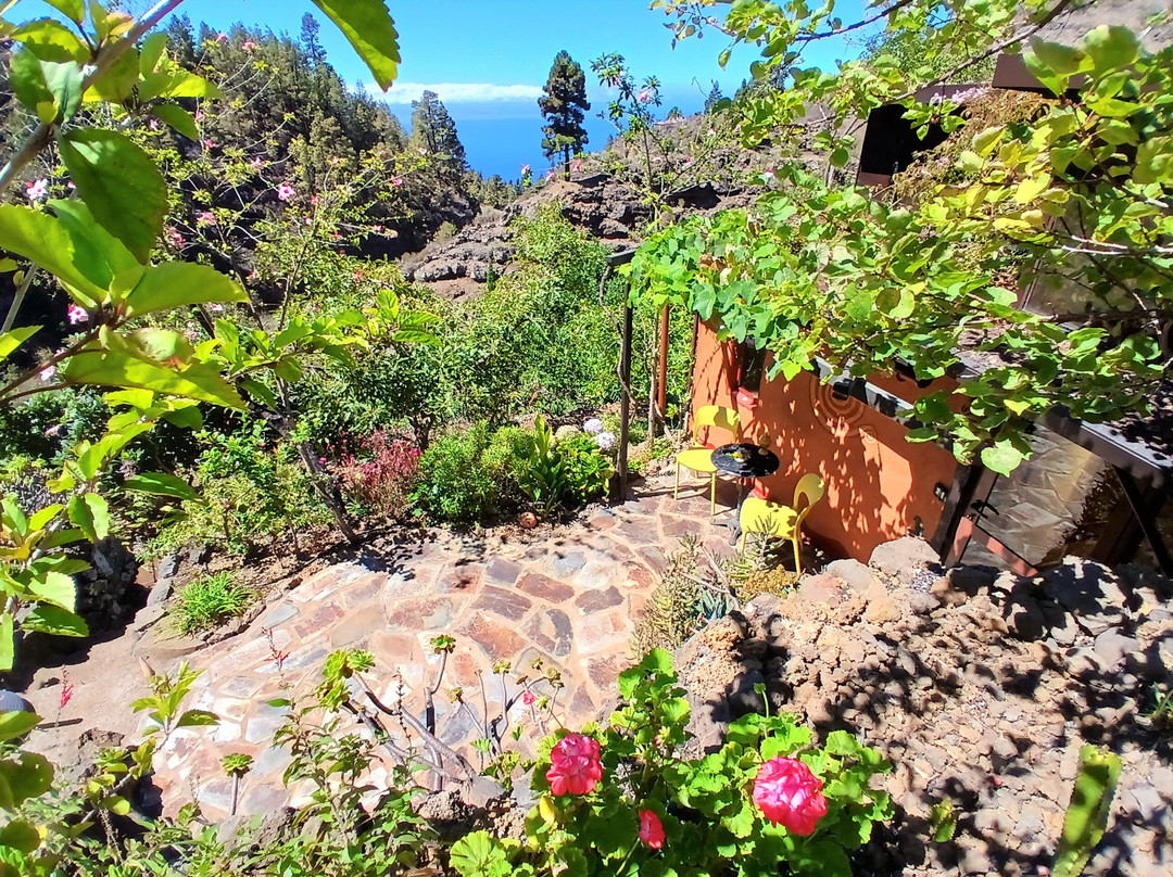 Vidyamor Yoga Retreats Canary Islands-Tijarafe必去景点