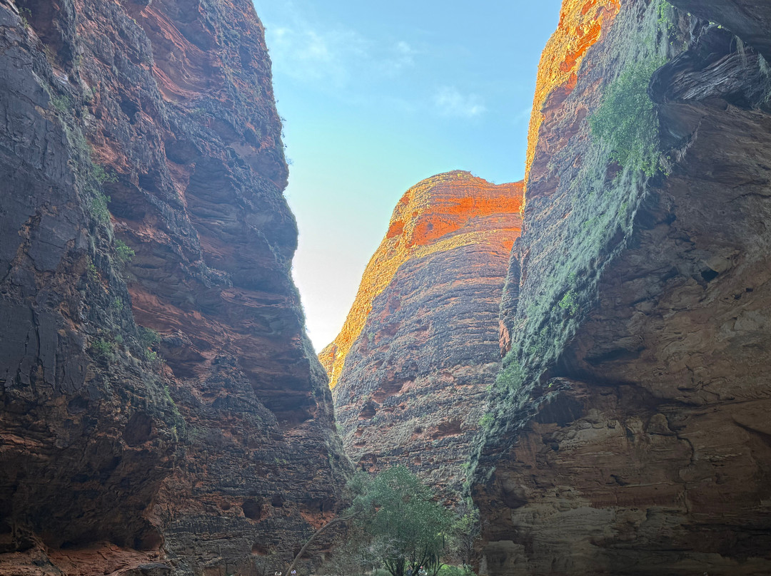 Trek Tours Australia-达尔文市必去景点