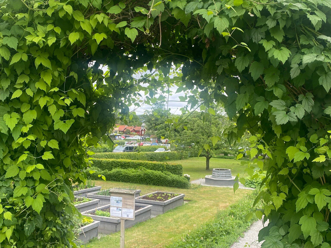 Draketradgarden-西格蒂纳必去景点