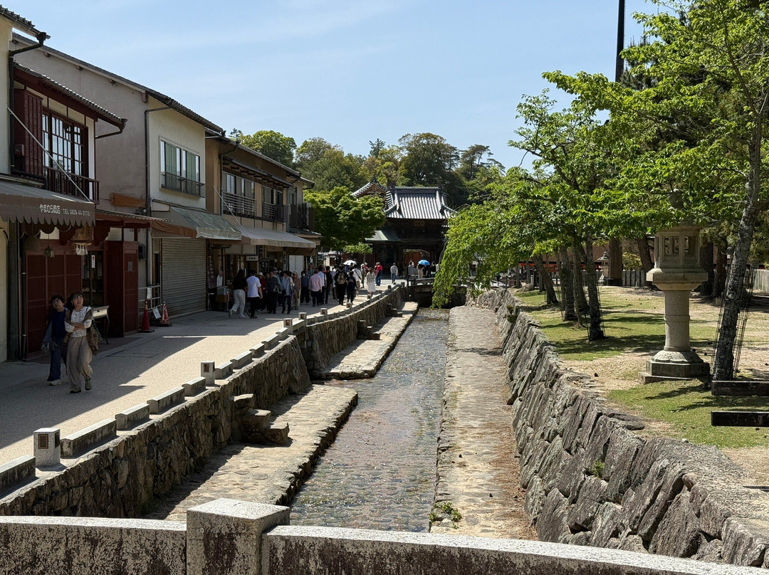 Setonaikai National Park Kannonzaki-今治市必去景点