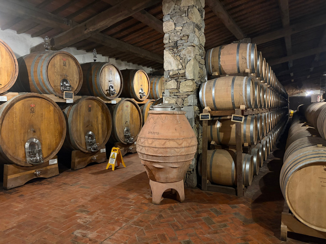 Fattoria La Vialla-Castiglion Fibocchi必去景点