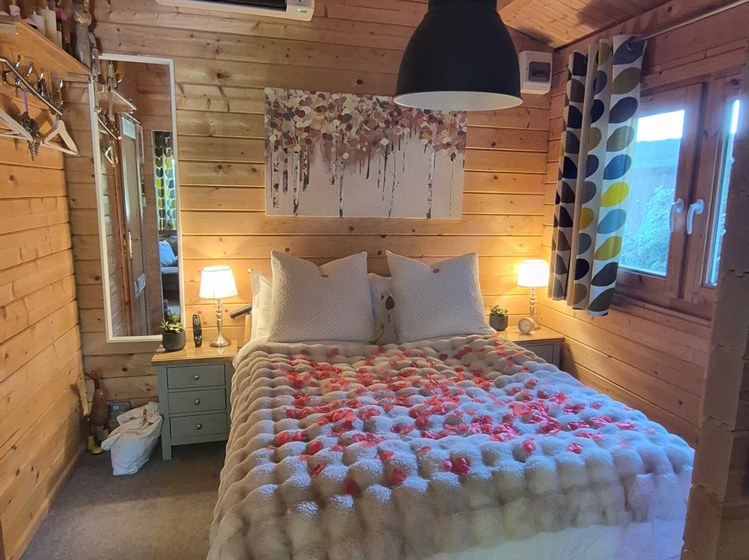 鸭子小屋家庭旅馆主图