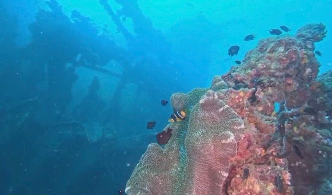 Scuba Addicts Dive Center Passikuda-卡尔库达必去景点