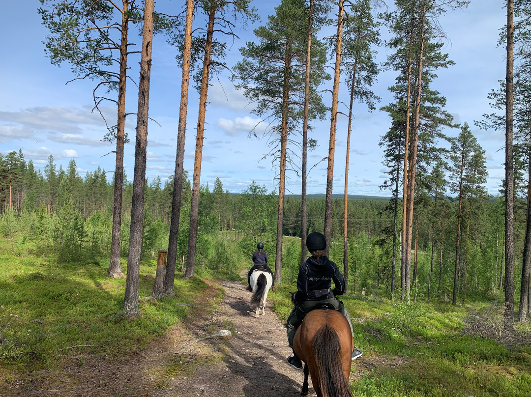 Horses of Taiga-Svansele必去景点