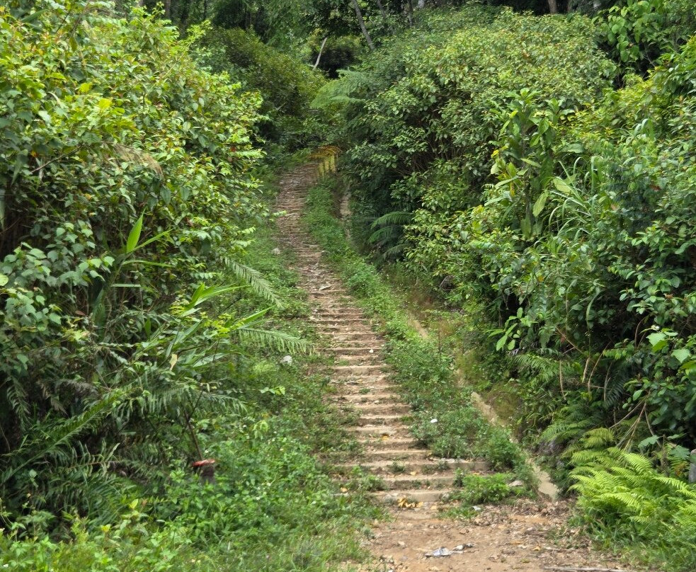 Annam Tour-Dong Ha必去景点