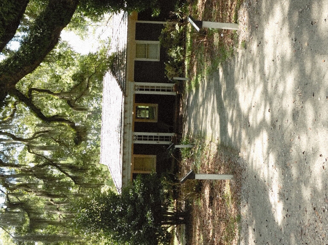 Wormsloe Historic Site-萨凡纳必去景点