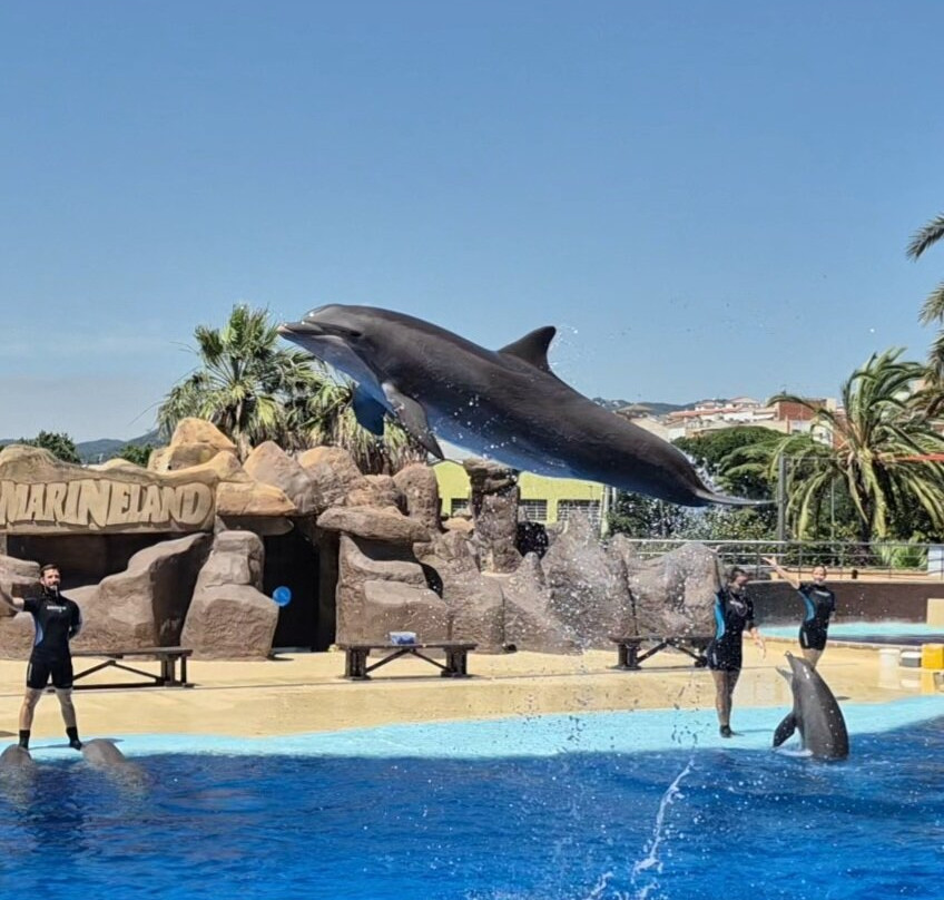 Marineland Catalunya-Palafolls必去景点