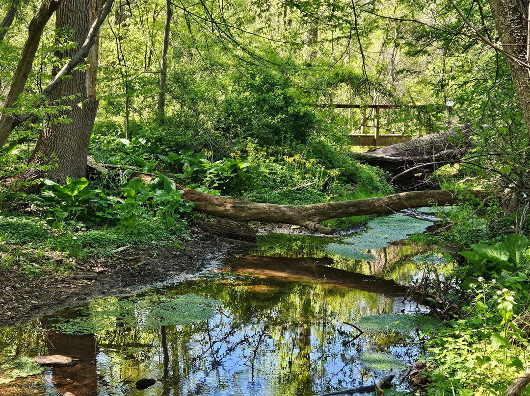 Honey Hollow Nature Center-纽霍普必去景点