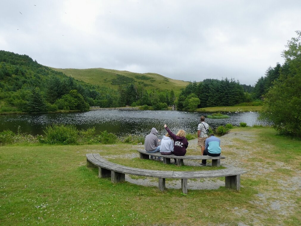 Bwlch Nant yr Arian Forest Visitor Centre-阿伯里斯特威斯必去景点