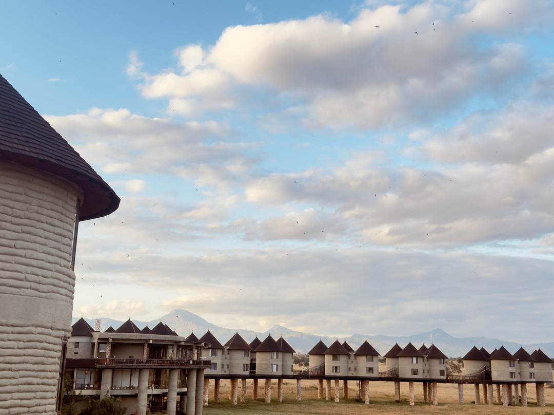 萨尔特利克野生动物园小屋主图