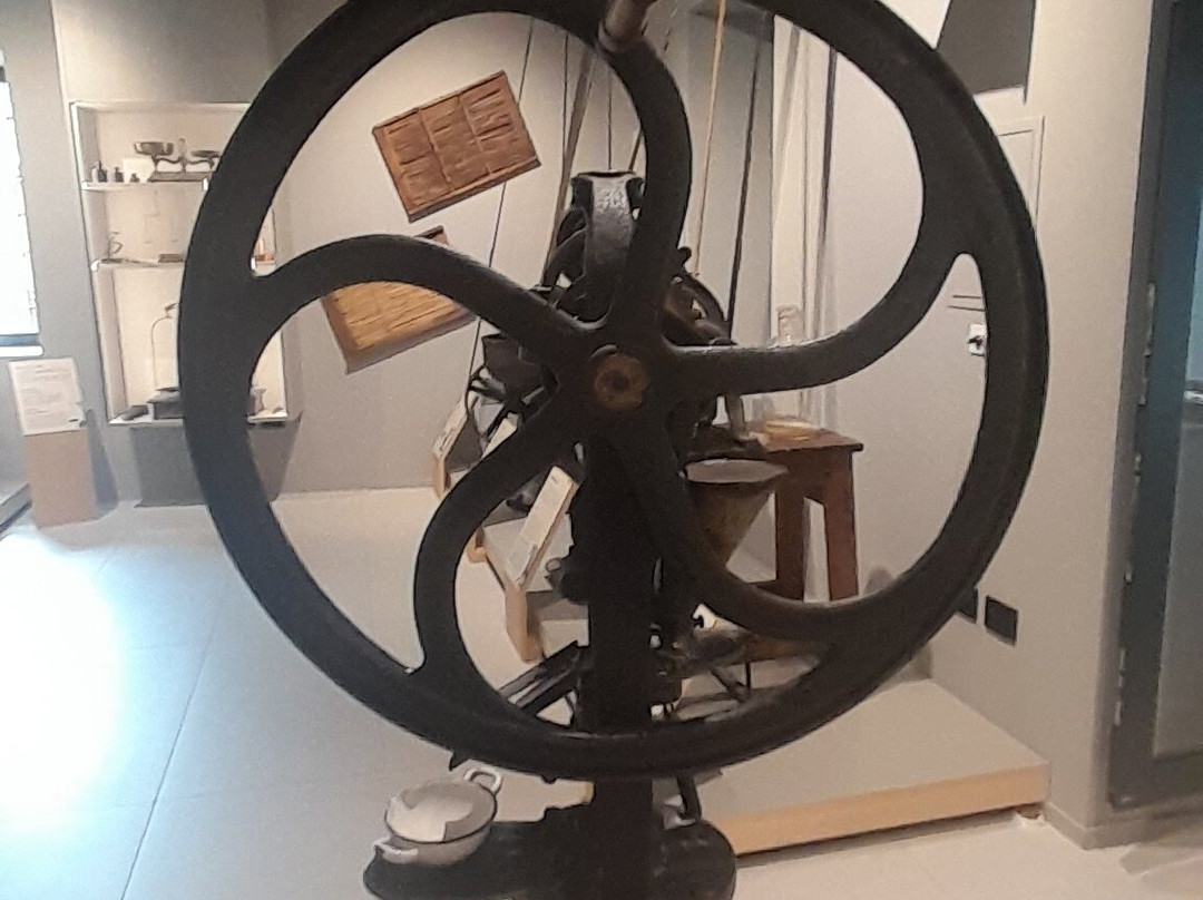 Museo del Laboratorio Farmaceutico Foletto-莱德罗必去景点