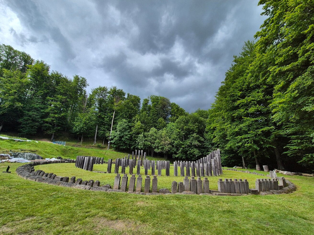 Sarmizegetusa Regia-Hunedoara County必去景点