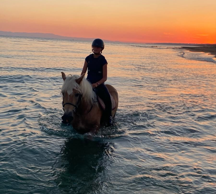Savalia Horse Riding Club - Sport & Nature-Savalia必去景点
