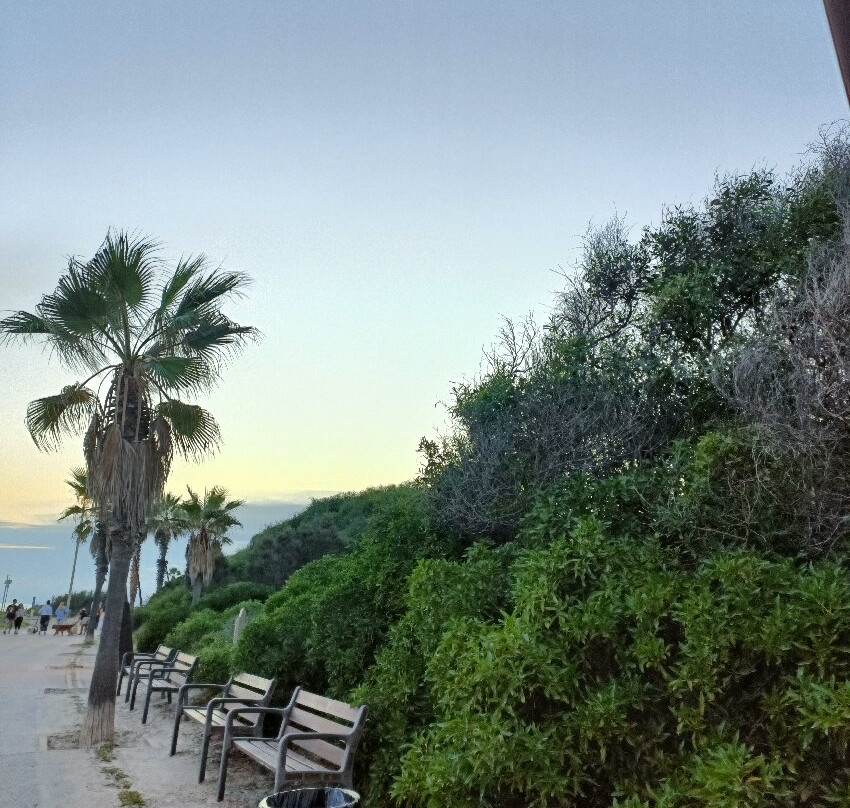 Playa Gavà-加瓦必去景点