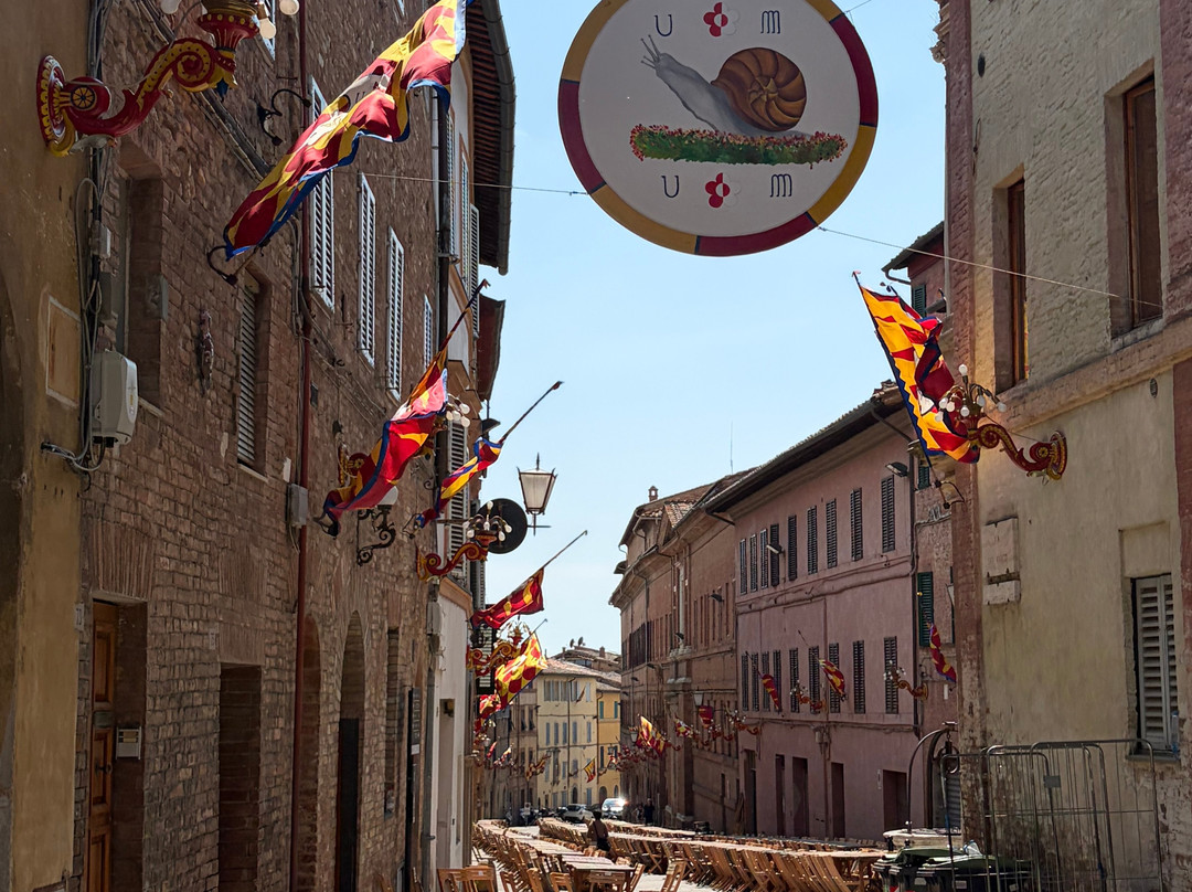 Guide in Siena-锡耶纳必去景点