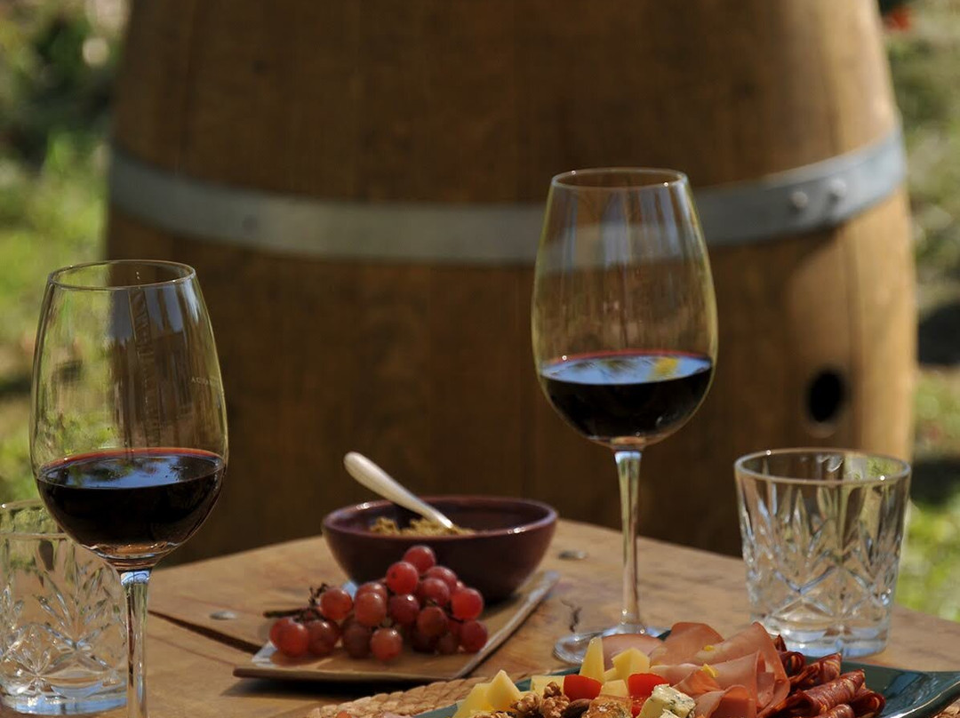 Bodega Terra Lombarda-圣拉斐尔必去景点
