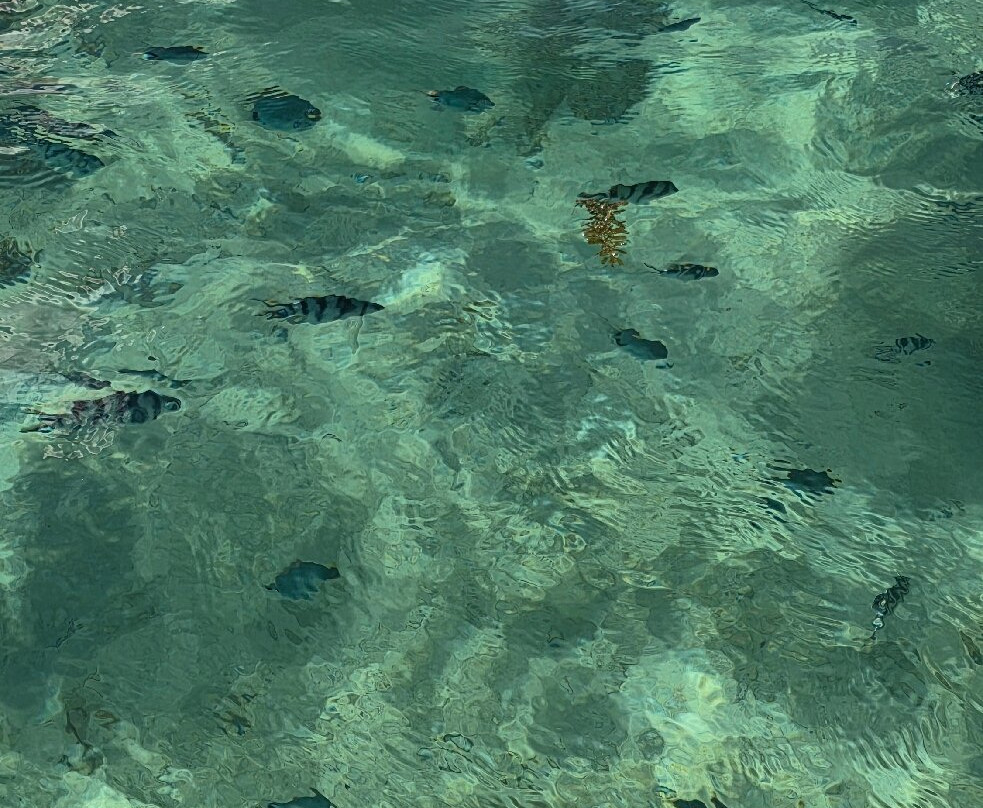 Mr Ro Mauritius Tours-波特弗拉克必去景点