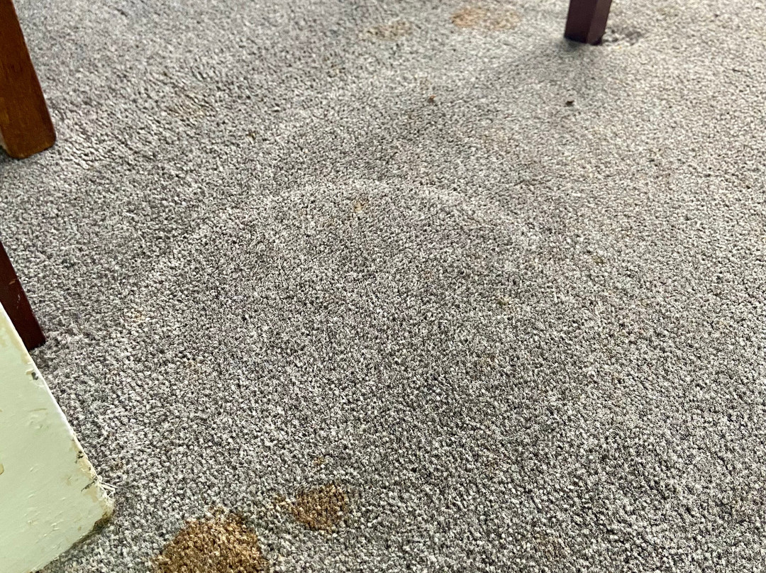 贝斯特韦斯特王冠酒店主图