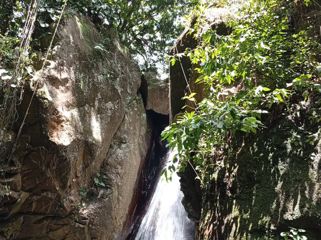 Parc De La Source-Bouillante必去景点