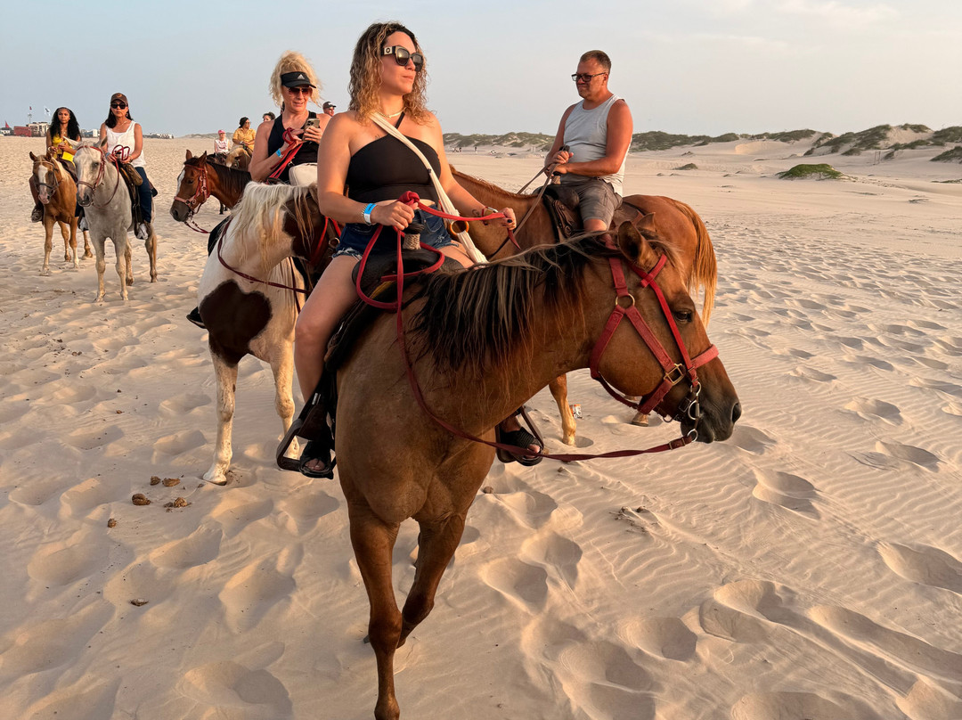South Padre Island Adventure Park-南帕诸岛必去景点