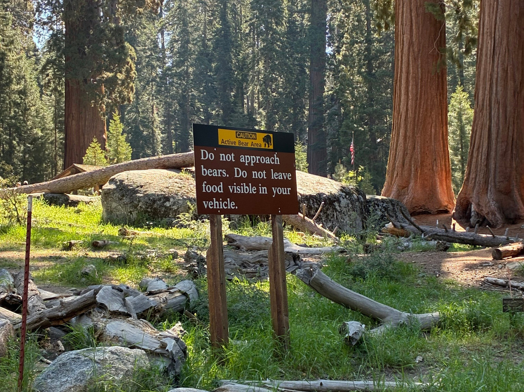Beetle Rock In Sequoia National Park-Three Rivers必去景点