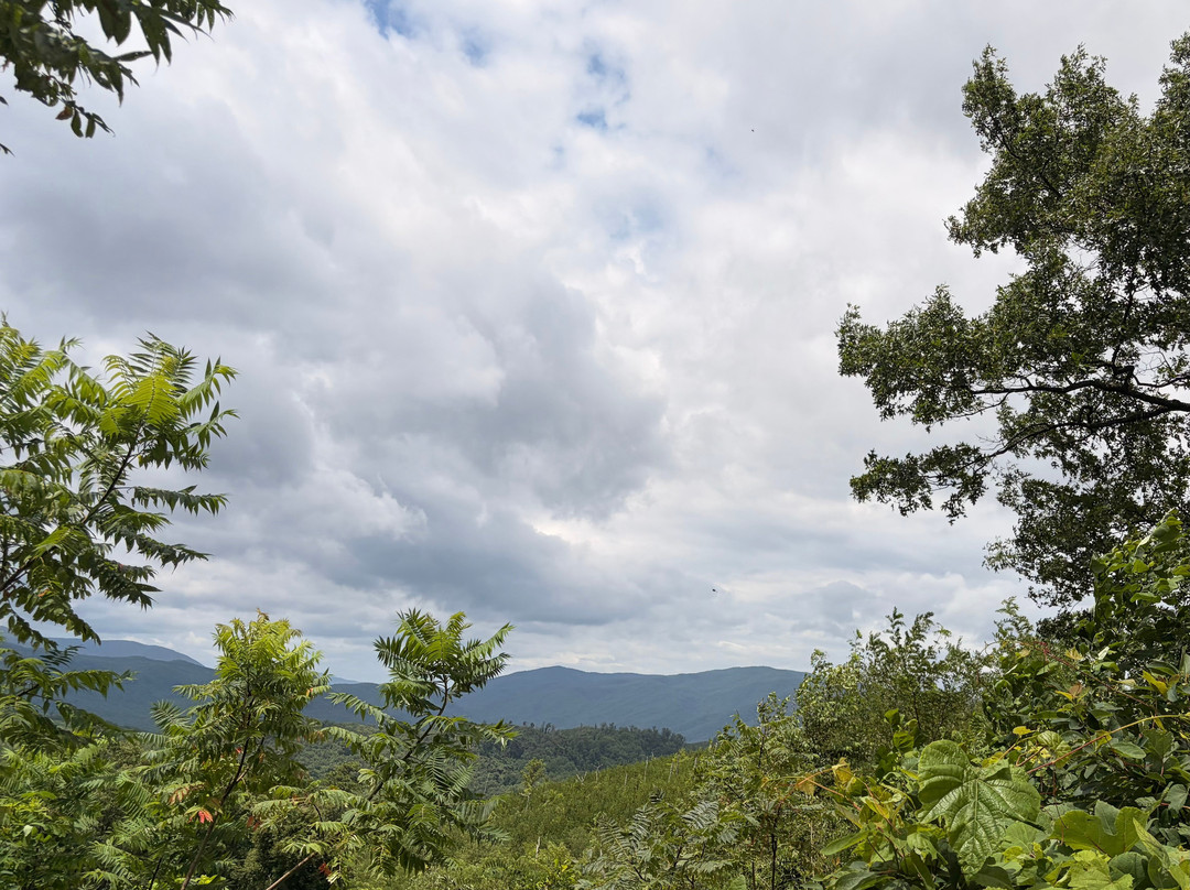 Great Smoky Mountains National Park-盖林柏格必去景点