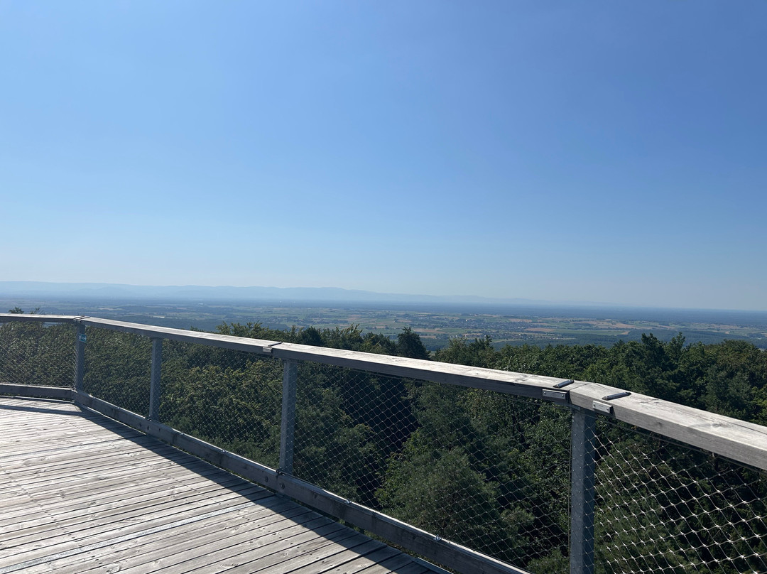 Chemin Des Cimes Alsace-Drachenbronn-Birlenbach必去景点