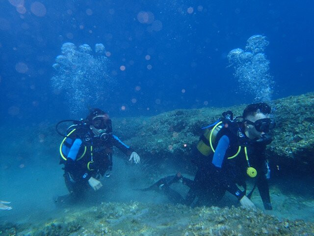 Alonissos Seacolours Dive Center-Patitiri必去景点