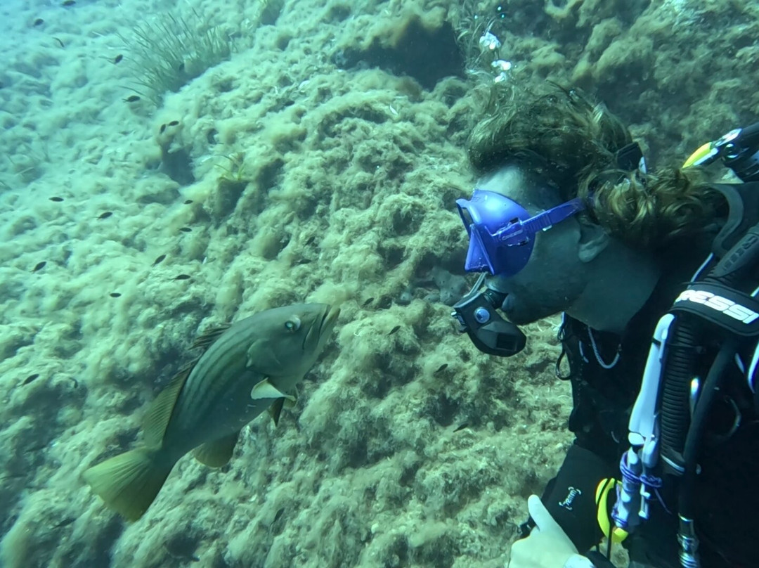 Orca Diving Ustica-Ustica必去景点