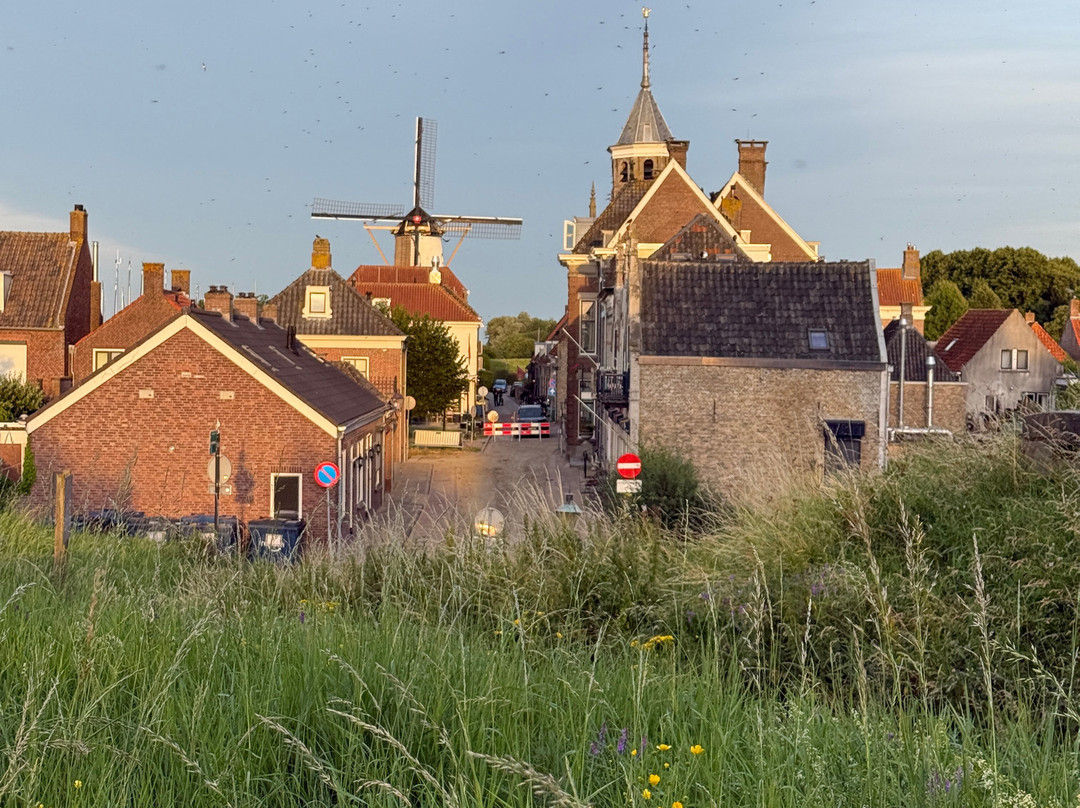Holland Bike Tours-哈勒姆必去景点