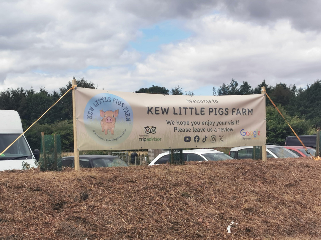 Kew Little Pigs Farm Ltd-Amersham必去景点